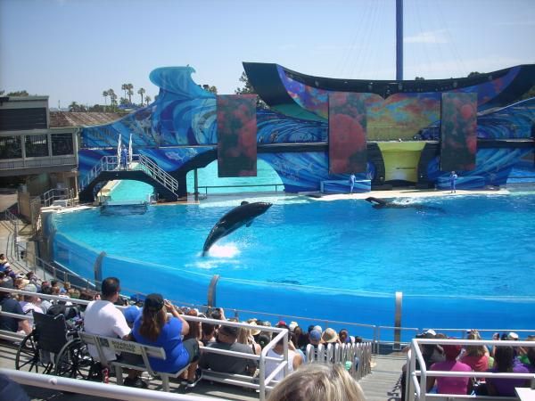 Sea World