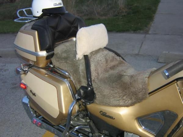 All set for comfort for 2010. Added a sheep skin cover the back rest.  No more sticky back.