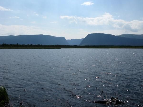 Western Brook