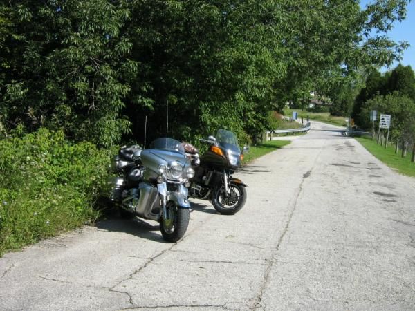 Steeds restin' at the picnic area.