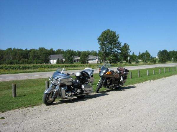 Restin' steeds at picnic area near Tiverton.