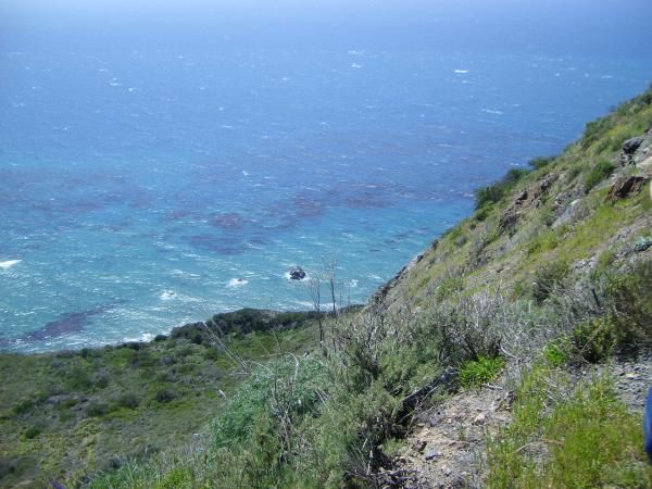 Lots to see, so little time.  20 Miles south of Big Sur, Ca.