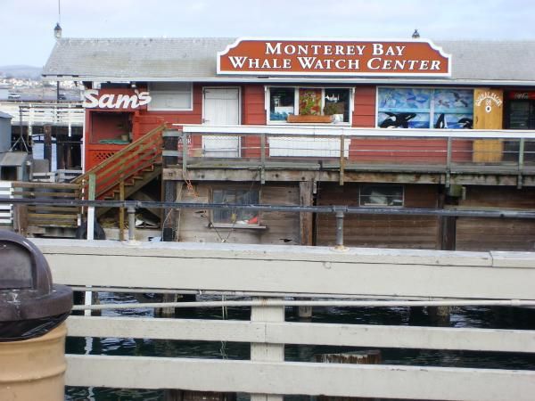 Monterrey, Ca., If you have the time you can take a whale excursion or just a bay tour either is nic
