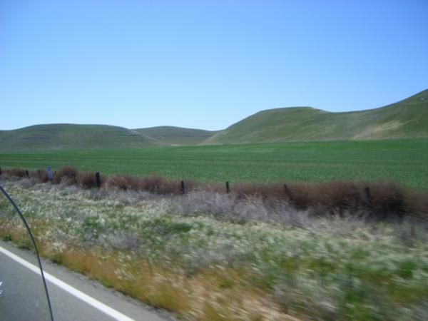 Taking the back roads home we chose hwy 198 outside of San Lucas, Ca.  A dangerous maneuver, a one h