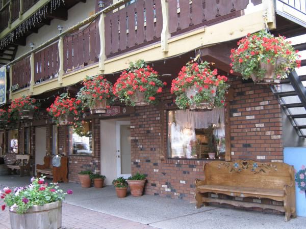 First Overnight Motorcycle Trip.  Flowers everywhere!