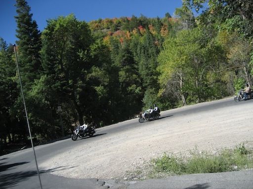 Fall CanyonRun'10