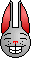 :Bunny:
