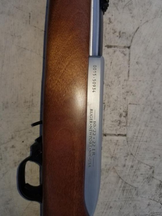 Ruger 2.jpg