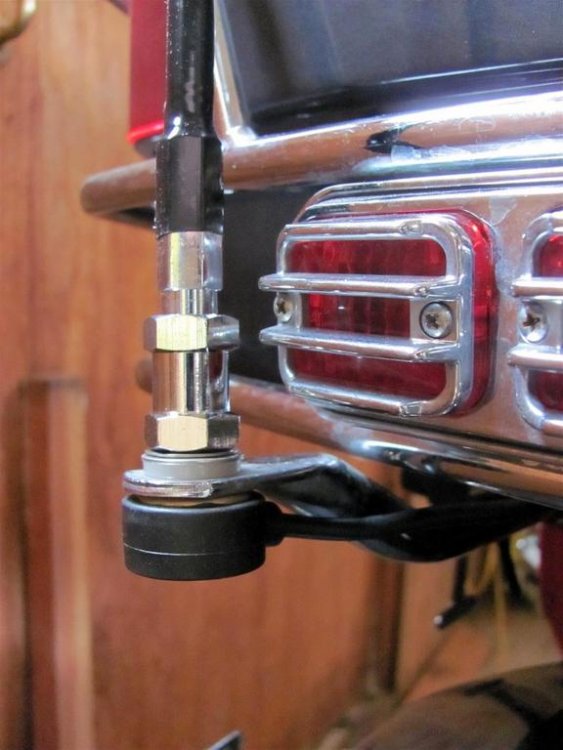 IMG_1205 (Large).jpg