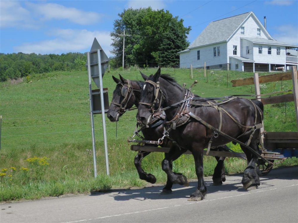 IMG_4525 (Medium).JPG