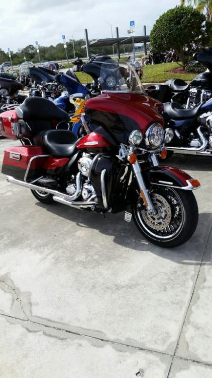 Harley 1 .jpg