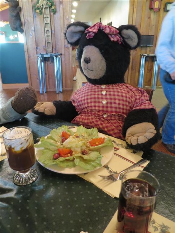 IMG_4485 (Medium).JPG