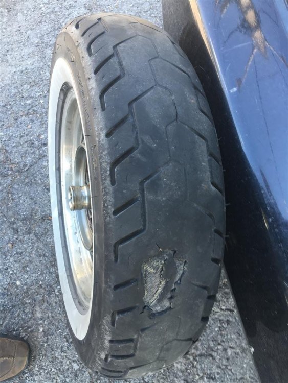 IMG_1629 (Medium).JPG