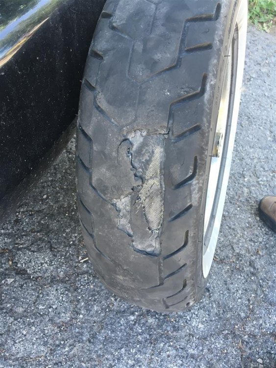 IMG_1630 (Medium).JPG