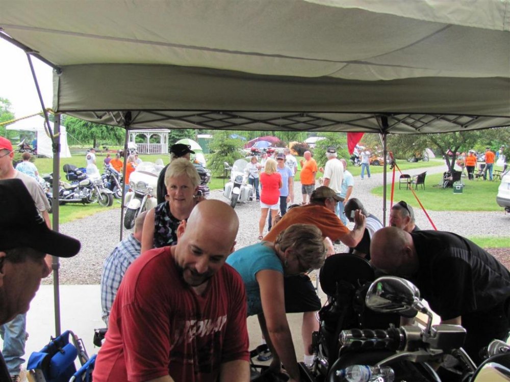 IMG_1528 (Large).jpg