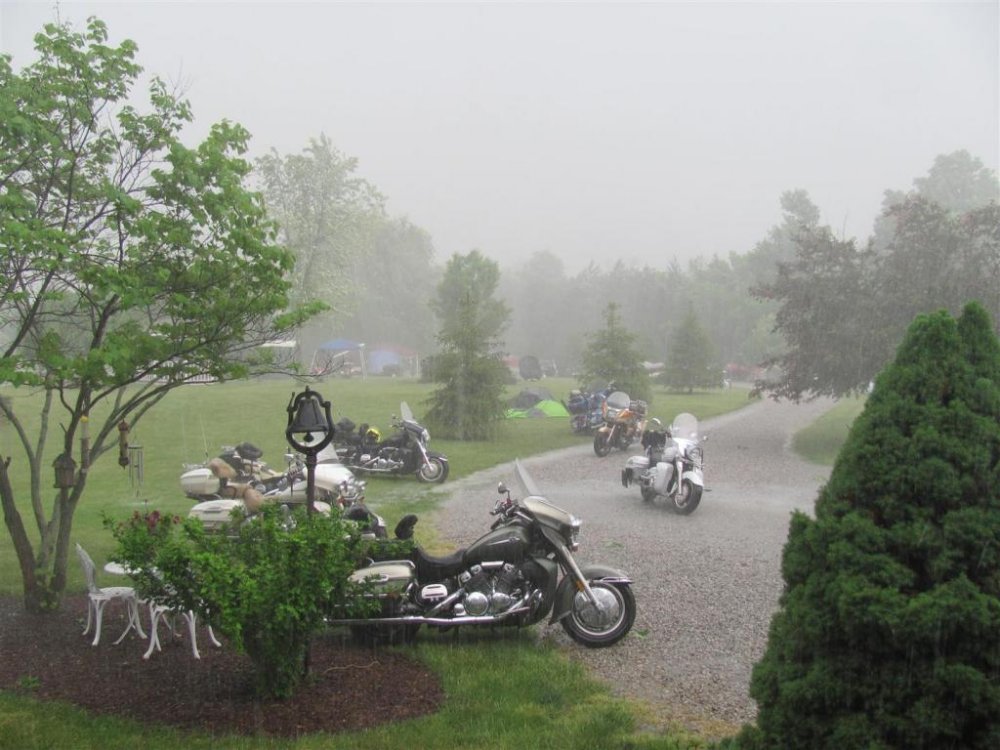 IMG_1549 (Large).jpg