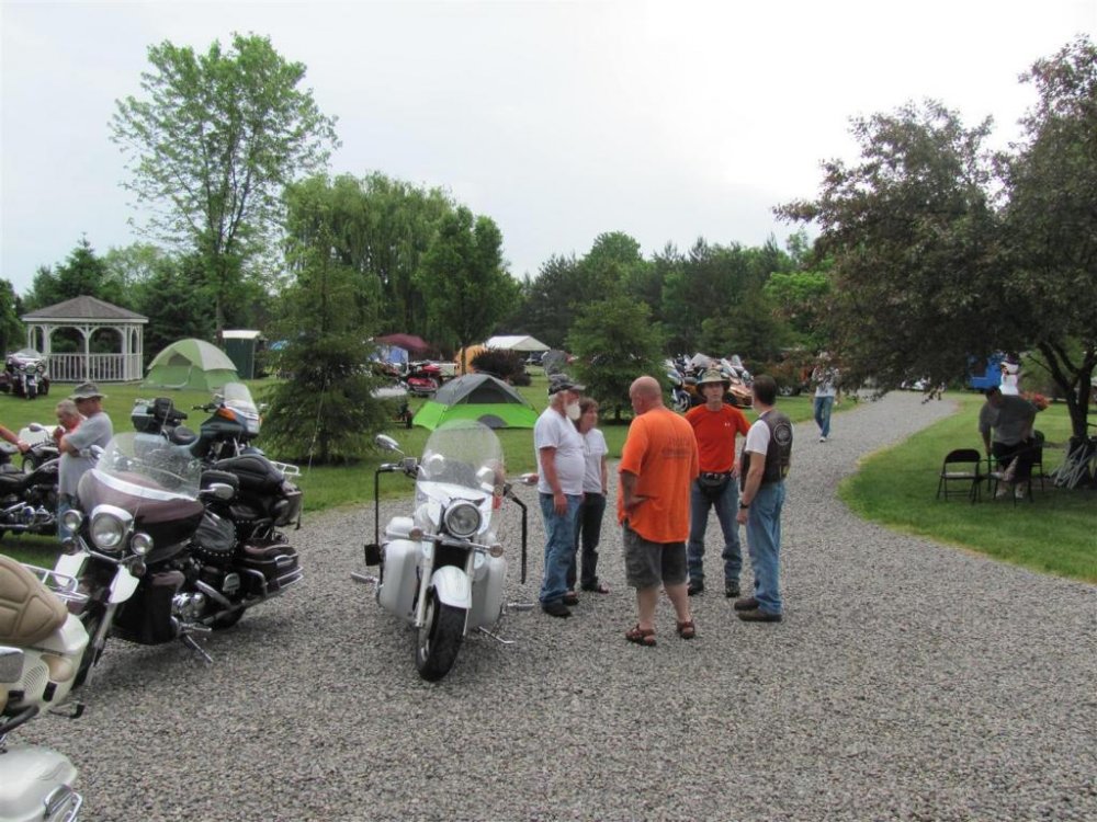 IMG_1536 (Large).jpg