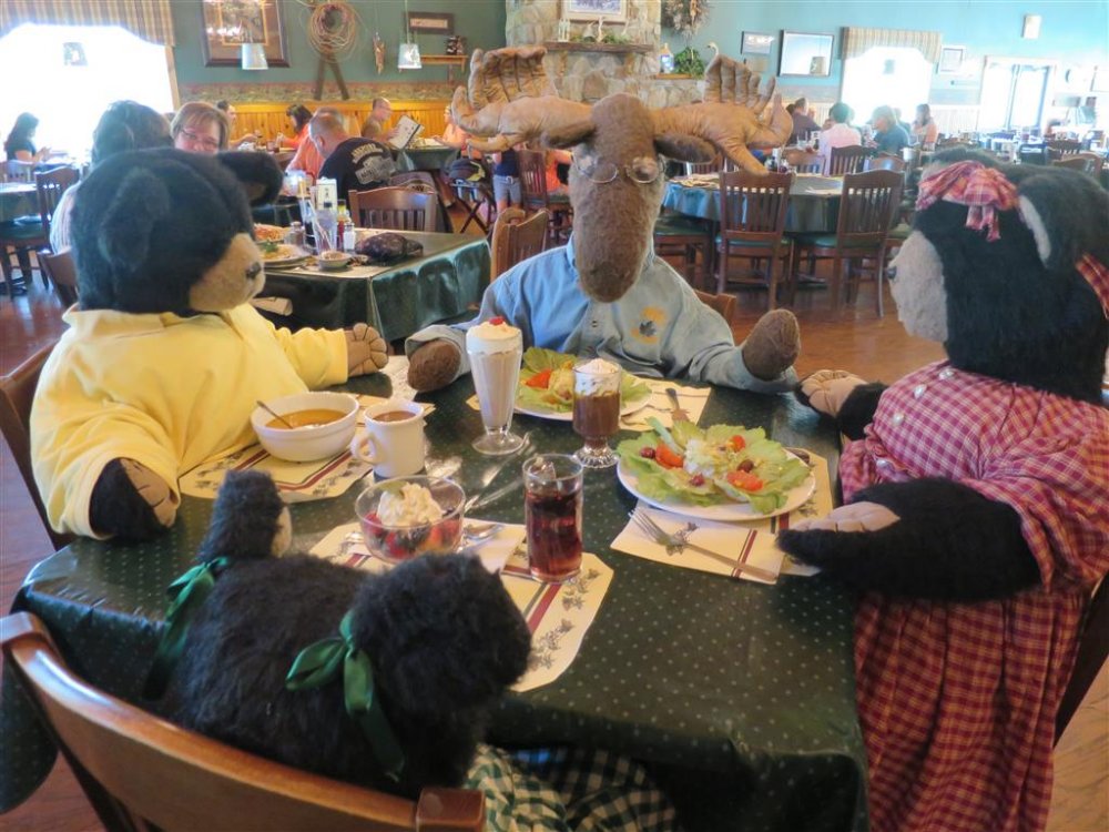 IMG_4482 (Medium).JPG