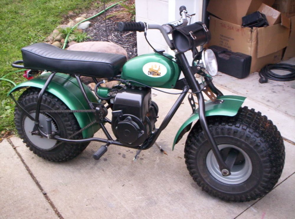 Retek Cheetah 1.JPG