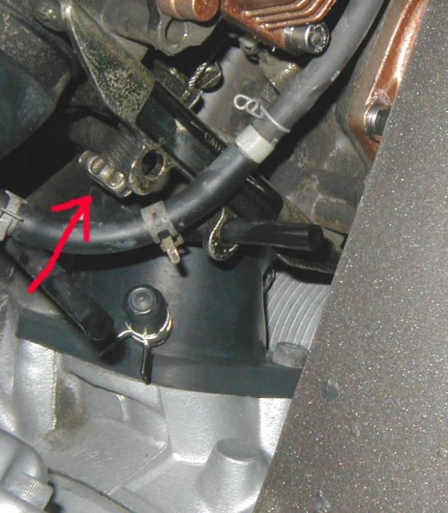 #8 IDLE ADJ. SCREW.jpg