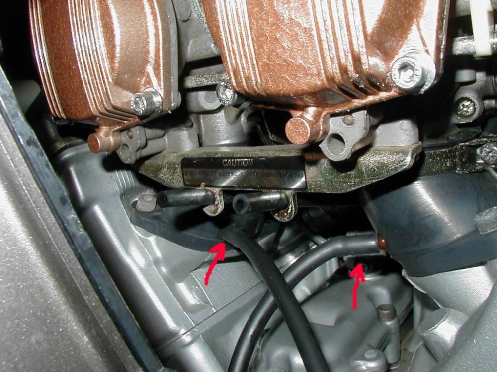 #6 LEFT BANK CONNECTED.jpg