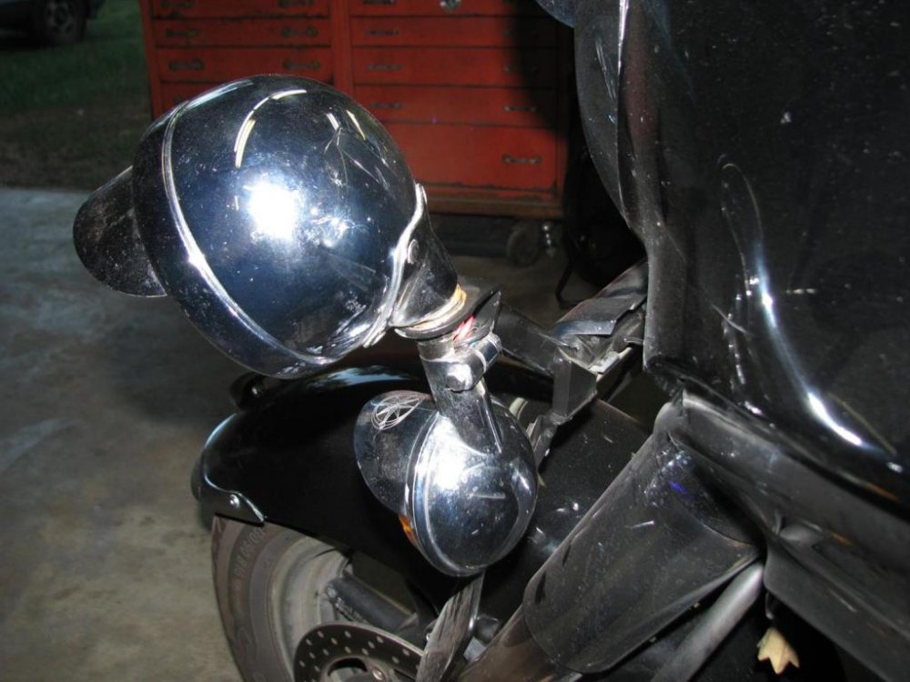 IMG_9787 (Large).jpg