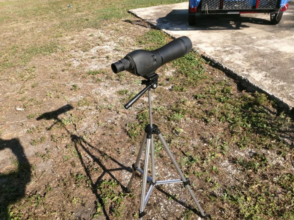 Spot and tripod..jpg