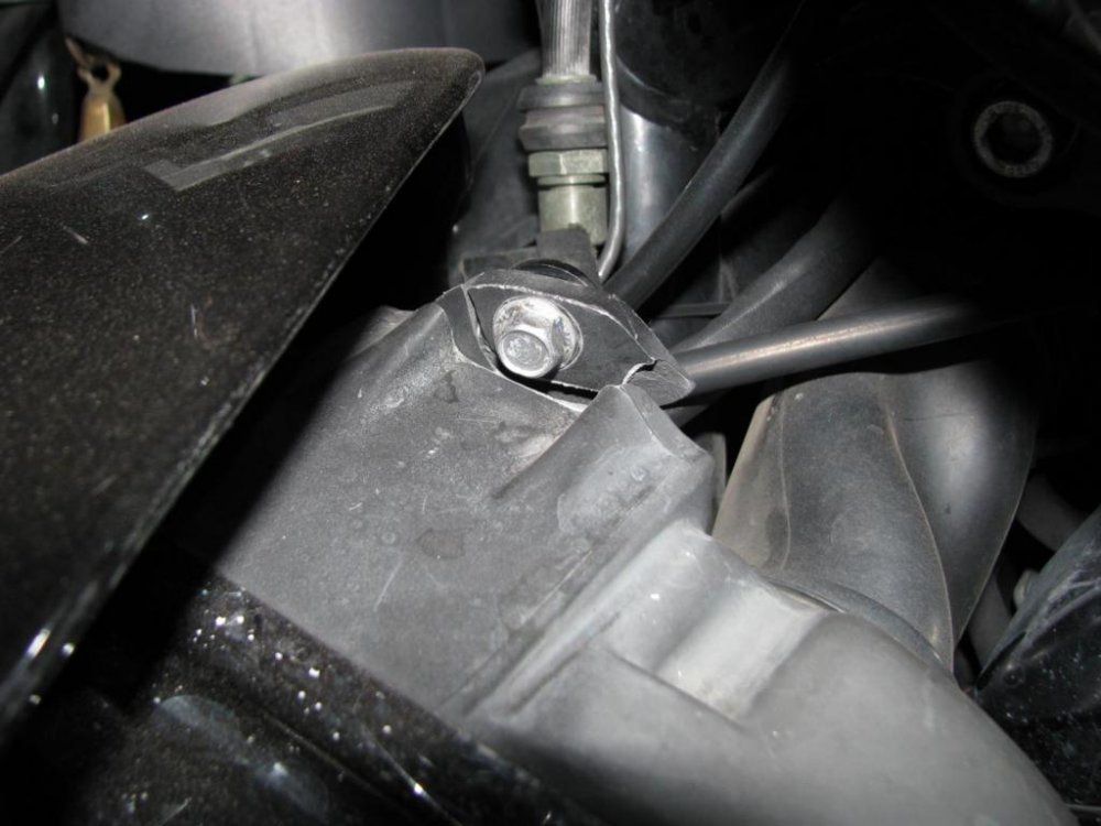 IMG_9783 (Large).jpg