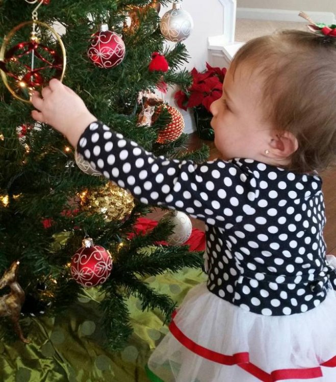 Willo Grace 12-05-15.jpg