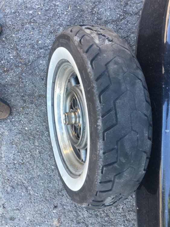 IMG_1628 (Medium).JPG