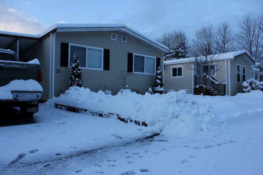 IMG_7334 (Medium).jpg