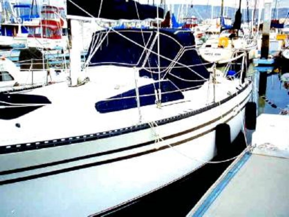 lancerdock (Medium).jpg