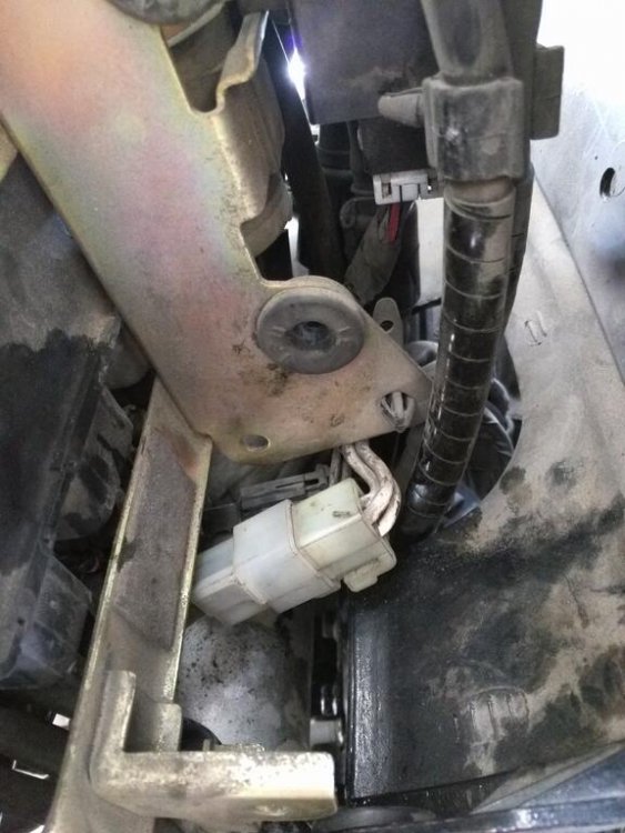 Stator Plugs.jpg
