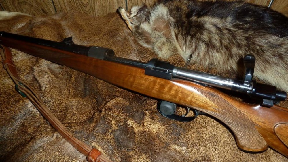 2016-10-02 12.21.44 (Medium).jpg