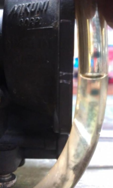 IMAG0210 (Large).jpg