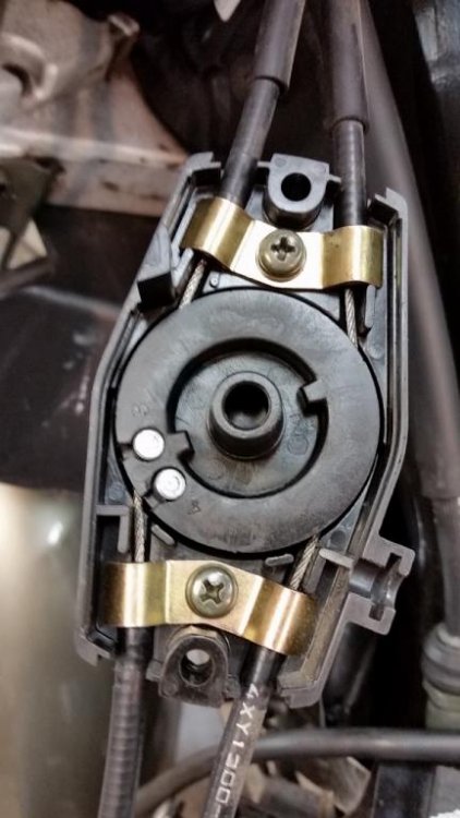 20160502_113634 (576x1024).jpg