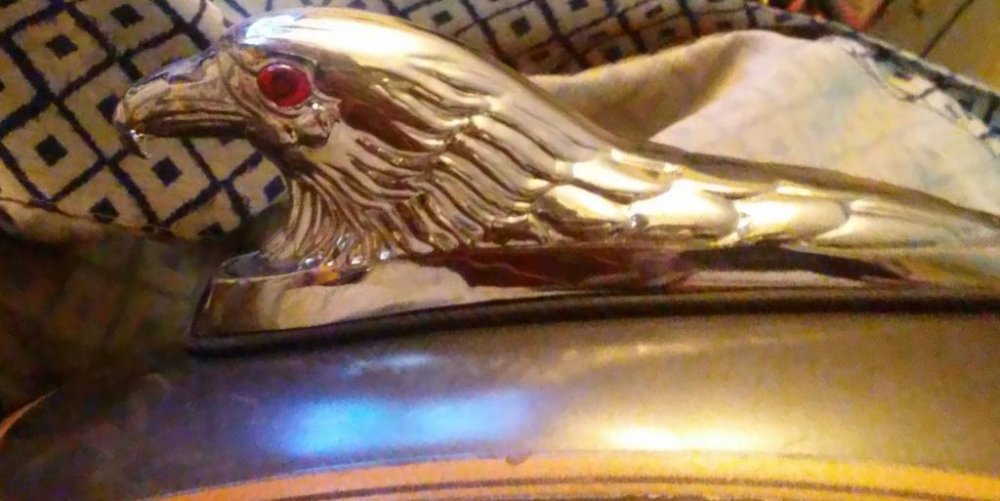 eagle head edited.jpg