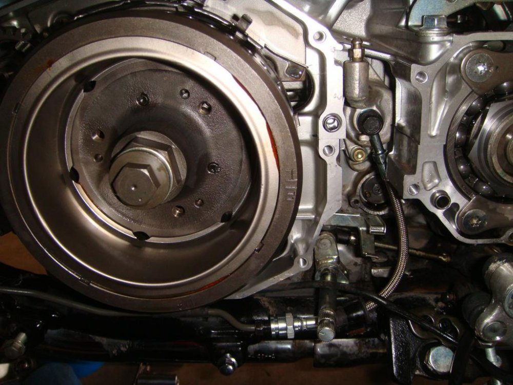 LOWER LINE INSTALLED.jpg