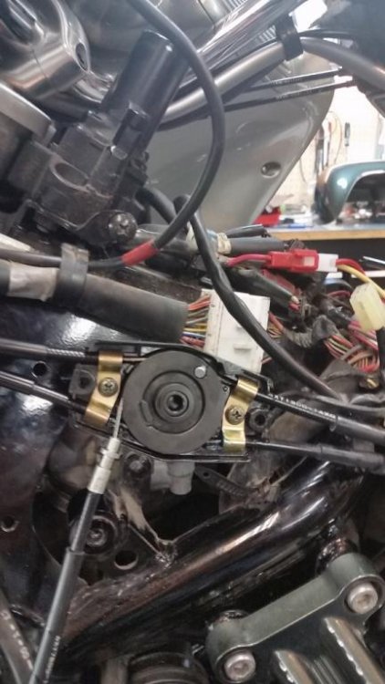 20160503_110109 (576x1024).jpg