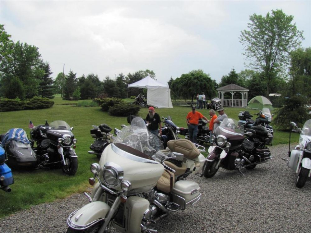 IMG_1535 (Large).jpg