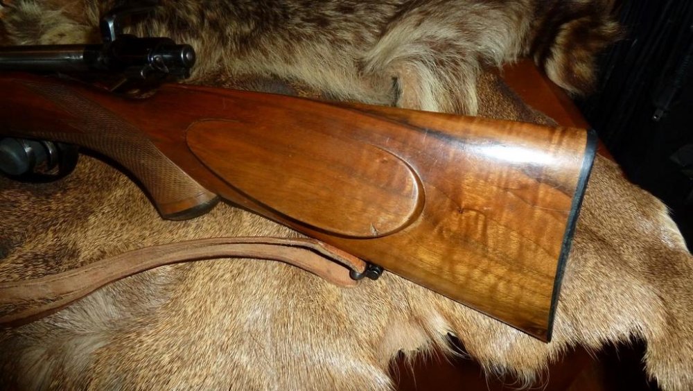 2016-10-02 12.21.34 (Medium).jpg