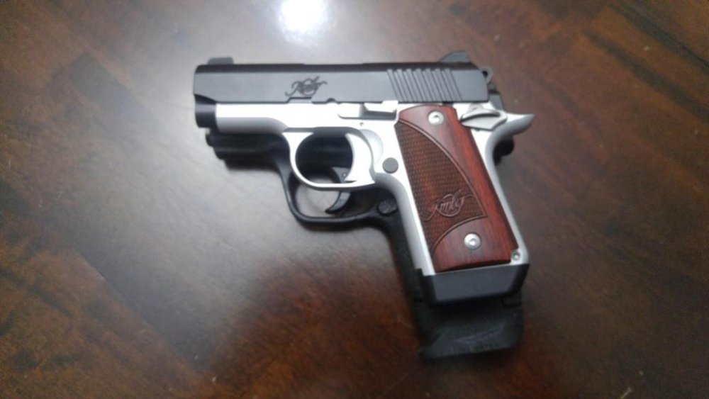 Kimber Shield Size Comparison.jpg