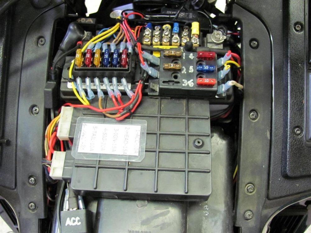 IMG_1595 (Large).jpg