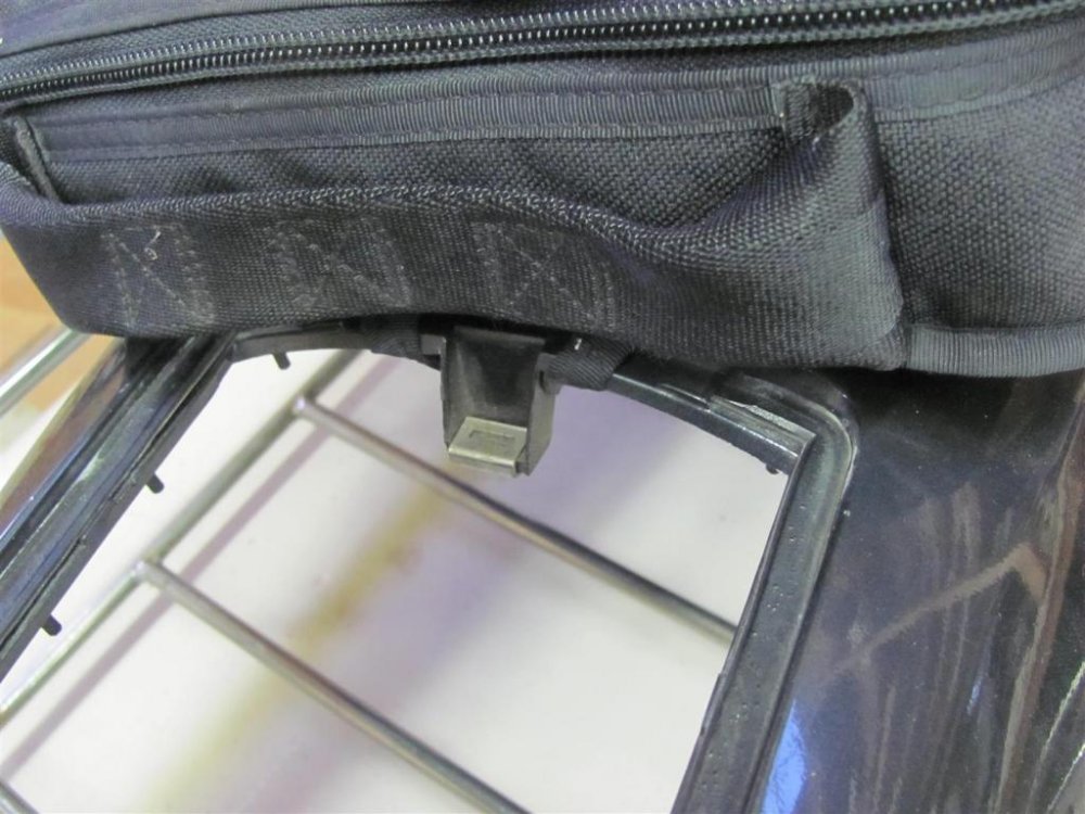 IMG_1783 (Large).jpg