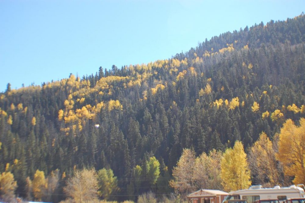 2015-10-10 18.38.37.jpg