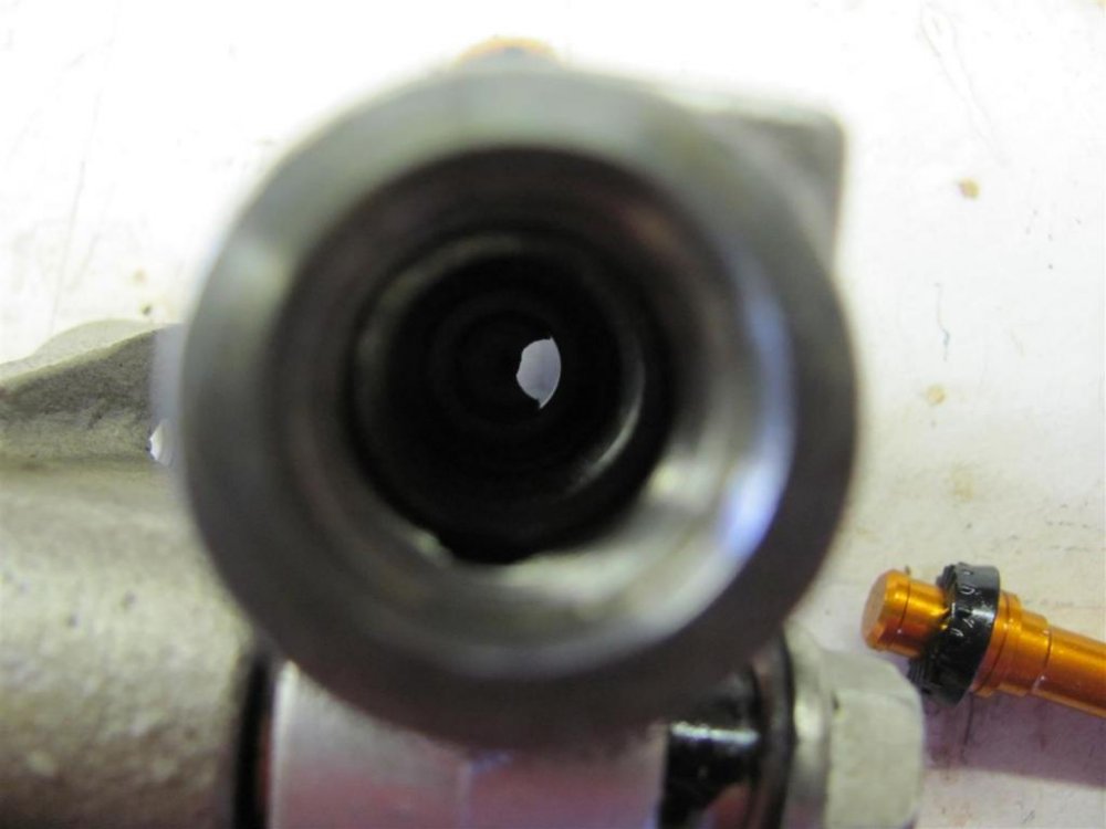 IMG_0453 (Large).jpg