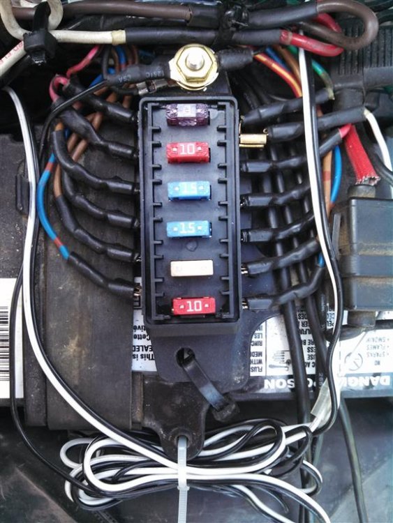 IMG_20130726_135100_327 (Medium).jpg