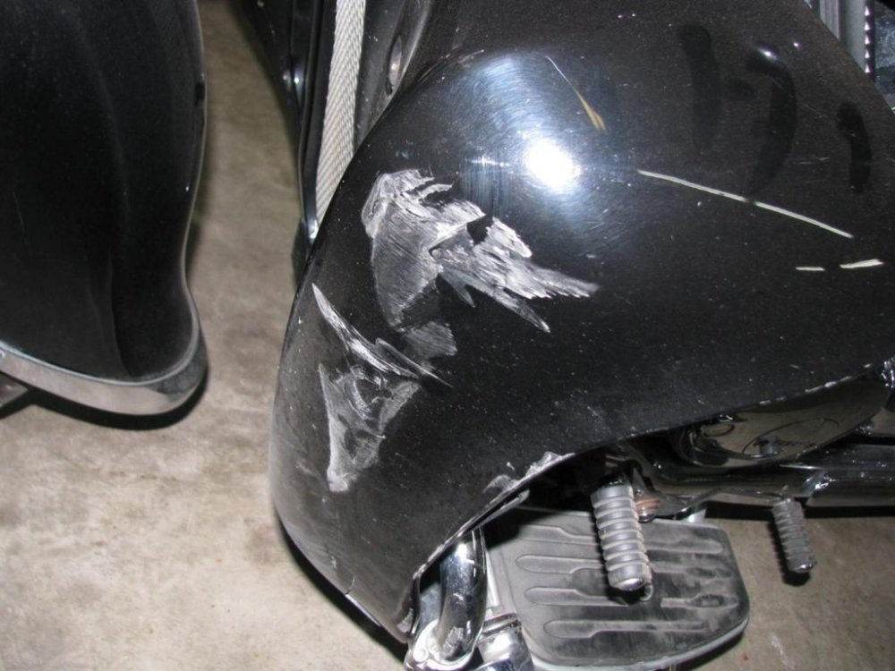 IMG_9778 (Large).jpg