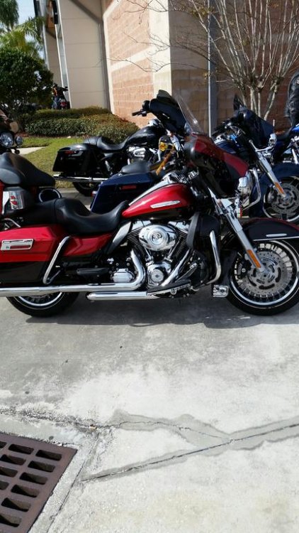 Harley 2.jpg