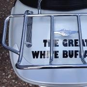 The Great White Buffalo